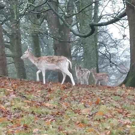 Sunny Bank, Cark-in-cartmel Holiday home