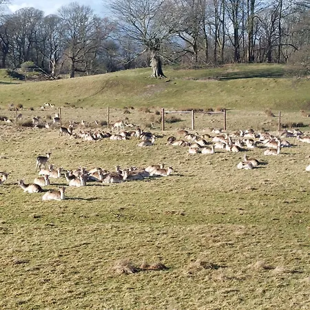 Sunny Bank, Cark-in-cartmel *